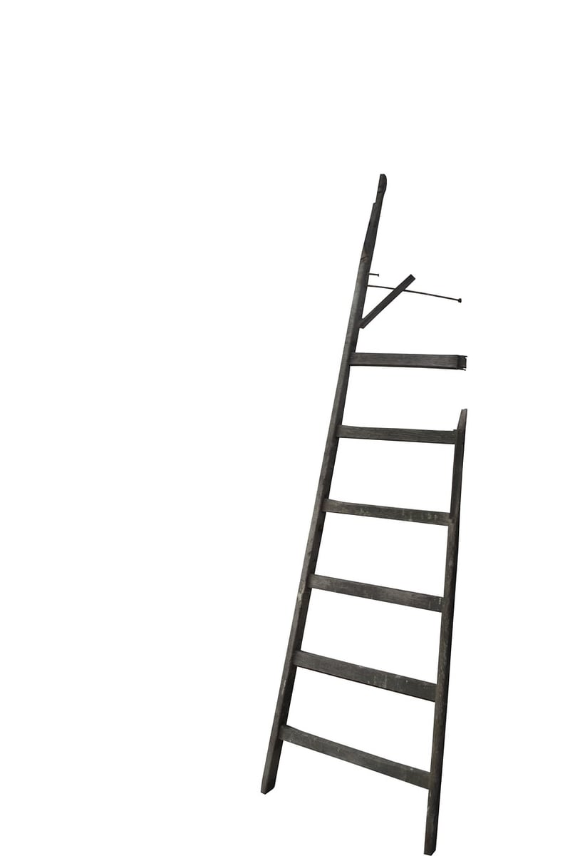 Old ladders